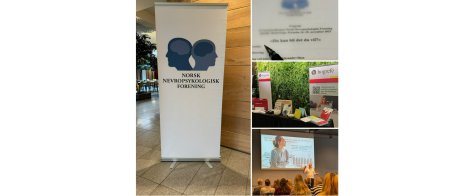 Årsmøtekonferanse i Norsk Nevropsykologisk Forening